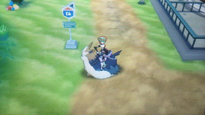 Finally, a Poke Center! - Route 15, Route 14 with Ghost Trial, Route 16 and Ulaula Meadow | Walkthrough - Game walkthrough - Pokemon Moon Game Guide