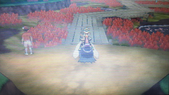 Swamps. Something new! - Route 15, Route 14 with Ghost Trial, Route 16 and Ulaula Meadow | Walkthrough - Game walkthrough - Pokemon Moon Game Guide