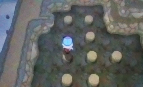 Head to the beach and follow the cliffs north - Route 8 - Walkthrough - Pokemon X/Y - Game Guide and Walkthrough