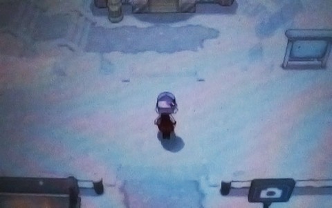 Head east, and the south to Couriway Town - Road 18/19 and Snowbelle City - Walkthrough - Pokemon X/Y - Game Guide and Walkthrough