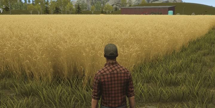 Wheat can be collected when it reaches maturity and has full, golden color. - First field works, Pure Farming 2018 Walkthrough - Story Mode - Pure Farming 2018 Game Guide