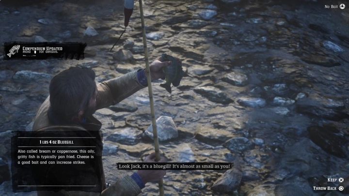 Reach the fishing spot - Red Dead Redemption 2: A Fisher of Men - walkthrough - Red Dead Redemption 2: Chapter 2 - Horseshoe Overlook - Red Dead Redemption 2 Guide