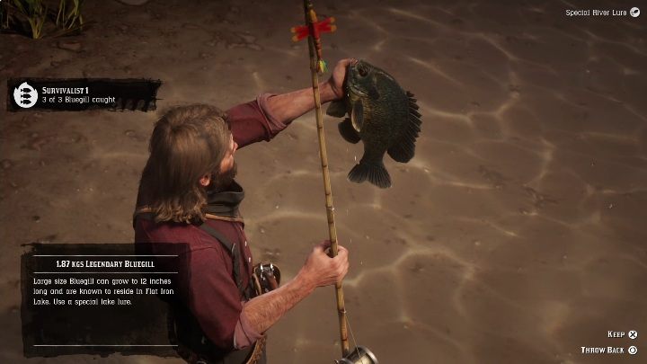 The legendary Bluegill is a small fish - Red Dead Redemption 2: Legendary Bluegill - maps, tips - Red Dead Redemption 2: Legendary fish - Red Dead Redemption 2 Guide