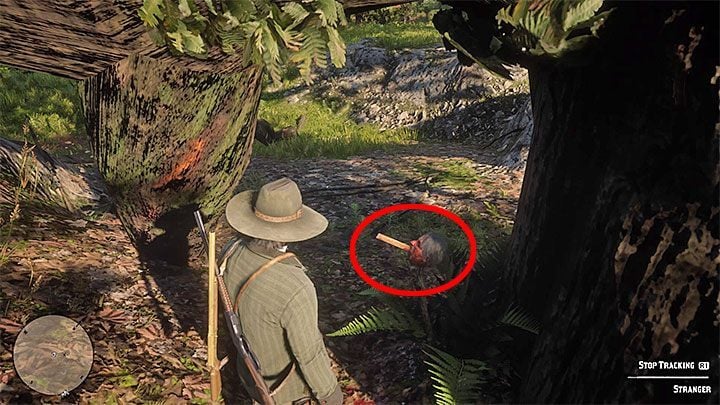 Walk around the tree and youll find the head cut and pierced with a piece of riddle left by the killer (Killer Clue Piece) - Red Dead Redemption 2: American Dreams - walkthrough, map - Red Dead Redemption 2: Side quests - Red Dead Redemption 2 Guide