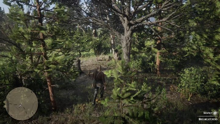 The next Dreamcatcher can be found near the city of Valentine - Red Dead Redemption 2: Dreamcatchers - where to find all of them? Maps - Red Dead Redemption 2: Other Secrets and collectibles - Red Dead Redemption 2 Guide