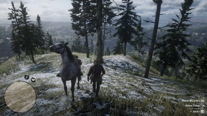 This Dreamcatcher is in Grizzlies West - Red Dead Redemption 2: Dreamcatchers - where to find all of them? Maps - Red Dead Redemption 2: Other Secrets and collectibles - Red Dead Redemption 2 Guide