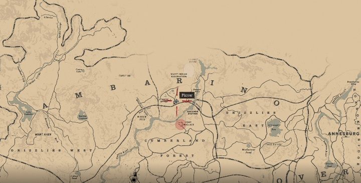 9 - Red Dead Redemption 2: Dreamcatchers - where to find all of them? Maps - Red Dead Redemption 2: Other Secrets and collectibles - Red Dead Redemption 2 Guide