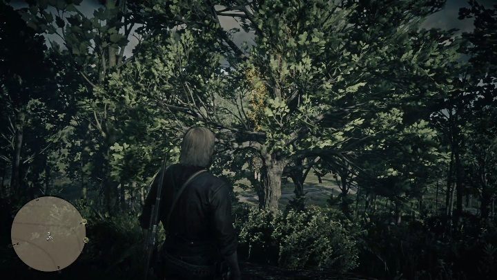 This Dreamcatcher is near New Hanover - Red Dead Redemption 2: Dreamcatchers - where to find all of them? Maps - Red Dead Redemption 2: Other Secrets and collectibles - Red Dead Redemption 2 Guide