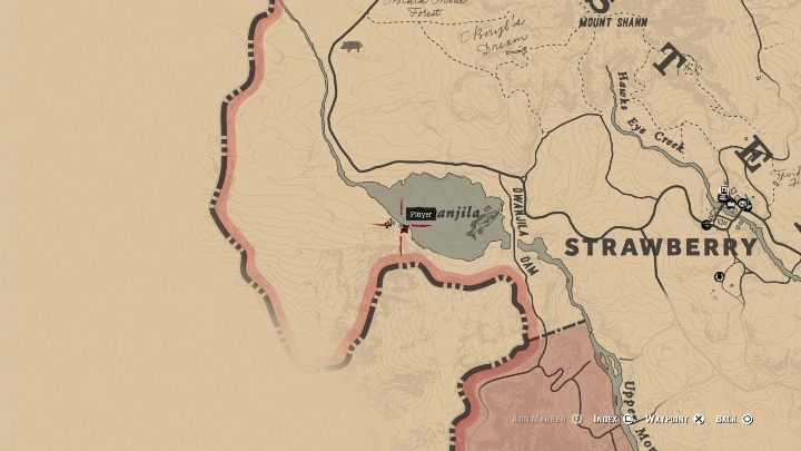The fifth Carving you will find on the eastern part of the map, near Lake Ovanijla, near Strawberry - Red Dead Redemption 2: Rock carvings - where to find all of them? Maps - Red Dead Redemption 2: Dinosaur bones and Rock Carvings - Red Dead Redemption 2 Guide