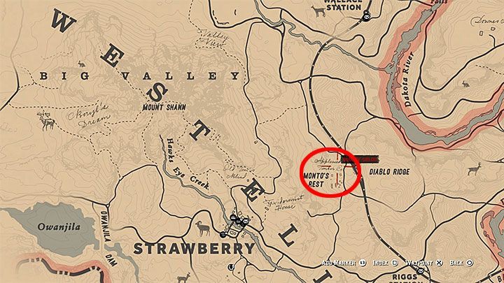 2 - Red Dead Redemption 2: Small side quests - unique locations - walkthrough, maps - Red Dead Redemption 2: Side quests - Red Dead Redemption 2 Guide