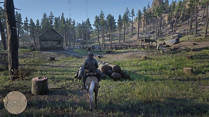 This location refers to a fragment of the forest where the felling of trees is carried out - Red Dead Redemption 2: Small side quests - unique locations - walkthrough, maps - Red Dead Redemption 2: Side quests - Red Dead Redemption 2 Guide