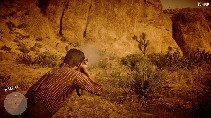 The Cougar requires heavier weapons - Red Dead Redemption 2: Legendary Cougar - maps, tips - Red Dead Redemption 2: Legendary Animals - Red Dead Redemption 2 Guide