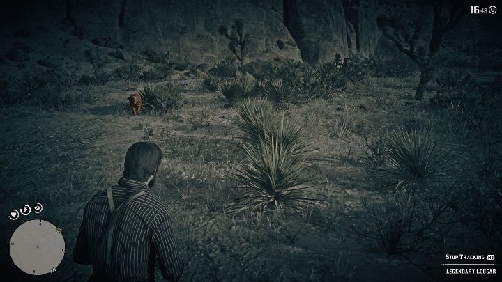 2 - Red Dead Redemption 2: Legendary Cougar - maps, tips - Red Dead Redemption 2: Legendary Animals - Red Dead Redemption 2 Guide