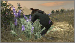 Target: Collect 7x Woolly Blue Curl, search for them near Perdido - Challenges - Survivalist - Challenges - Red Dead Redemption - Game Guide and Walkthrough