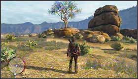 1 - Challenges - Treasure Hunter - Challenges - Red Dead Redemption - Game Guide and Walkthrough