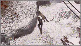 Climb on few rock shelves and you will meet the bear #1 - Walkthrough - The North - [Mc] Professor MacDougal - Walkthrough - The North - Red Dead Redemption - Game Guide and Walkthrough