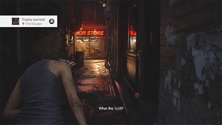 Trophy type: bronze - Resident Evil 3: Trophy guide - Appendix - Resident Evil 3 Guide