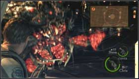 10 - Underground Garden - Walkthrough - Resident Evil 5 - Game Guide and Walkthrough