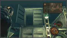 26 - Emblems - part 2 - Additional info - Resident Evil 5 - Game Guide and Walkthrough