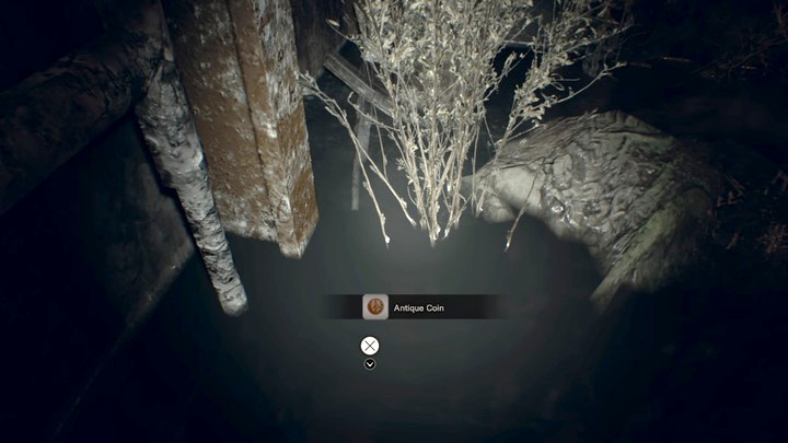 The second coin can be found in the flooded room next to the white thicket - Resident Evil 7: Wrecked Ship walktrough - Resident Evil VII Walkthrough - Resident Evil 7 Guide, Walkthrough