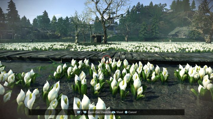 You need to position yourself next to the fallen tree in the marsh and photograph the titular flowers - Rise of the Ronin: All photos in the Edo region - Rise of the Ronin: Secrets and Collectibles - Rise of the Ronin Guide