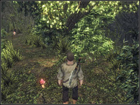 In the middle of the road between the now dead bird and the drowned body turn around and go into the jungle, passing the rocks on the left - Prologue - Walkthrough - Risen - Game Guide and Walkthrough