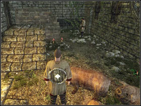 8 - Chapter 1 - Volcano Keep Quests - Part 1 - Chapter 1 - Risen - Game Guide and Walkthrough