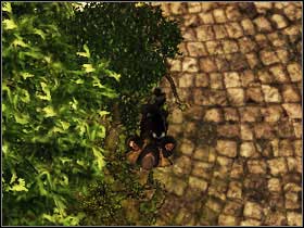 Acrobats are able to fall from great heights and roll so that they take less damage - World Atlas - Acrobatics - World Atlas - Skills - Risen - Game Guide and Walkthrough