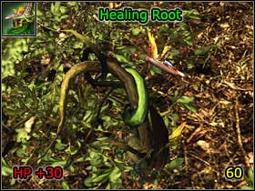 1 - World Atlas - Alchemy - World Atlas - Skills - Risen - Game Guide and Walkthrough