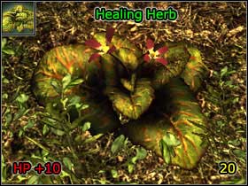 3 - World Atlas - Alchemy - World Atlas - Skills - Risen - Game Guide and Walkthrough