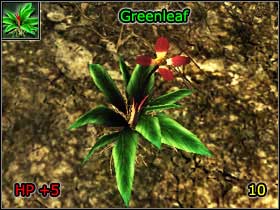 4 - World Atlas - Alchemy - World Atlas - Skills - Risen - Game Guide and Walkthrough