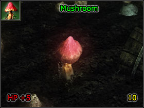 5 - World Atlas - Alchemy - World Atlas - Skills - Risen - Game Guide and Walkthrough