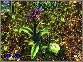 6 - World Atlas - Alchemy - World Atlas - Skills - Risen - Game Guide and Walkthrough