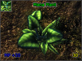 7 - World Atlas - Alchemy - World Atlas - Skills - Risen - Game Guide and Walkthrough