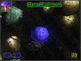 8 - World Atlas - Alchemy - World Atlas - Skills - Risen - Game Guide and Walkthrough