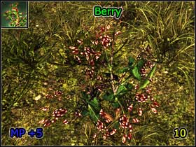 9 - World Atlas - Alchemy - World Atlas - Skills - Risen - Game Guide and Walkthrough