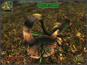 10 - World Atlas - Alchemy - World Atlas - Skills - Risen - Game Guide and Walkthrough