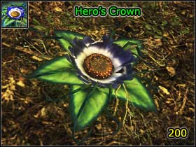 12 - World Atlas - Alchemy - World Atlas - Skills - Risen - Game Guide and Walkthrough