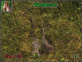 13 - World Atlas - Alchemy - World Atlas - Skills - Risen - Game Guide and Walkthrough