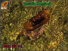 14 - World Atlas - Alchemy - World Atlas - Skills - Risen - Game Guide and Walkthrough