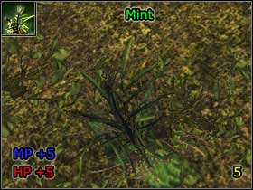 15 - World Atlas - Alchemy - World Atlas - Skills - Risen - Game Guide and Walkthrough