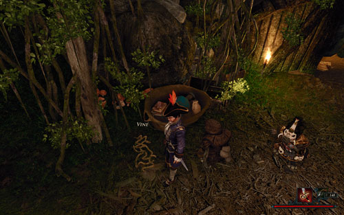 Vines are the small climbing plants pictured on the screen. - Build a Raft - The Isle of Thieves - Quests - Risen 2: Dark Waters - Game Guide and Walkthrough