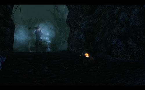 As you can see, Slayne's infamy is truly justified. - Slayne's Treasure - The Isle of Thieves - Quests - Risen 2: Dark Waters - Game Guide and Walkthrough