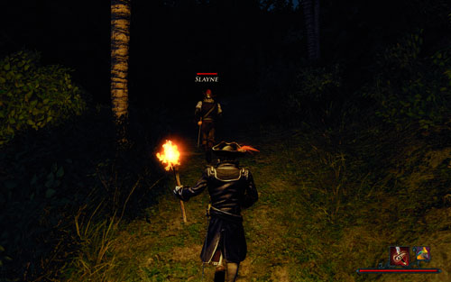 A few termites are no match for two pirates. - The Cave Is Not Far Off - The Isle of Thieves - Quests - Risen 2: Dark Waters - Game Guide and Walkthrough