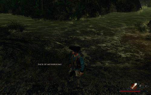 The sacks are by the river. - The Shipment for Crow - The Sword Coast - Quests - Risen 2: Dark Waters - Game Guide and Walkthrough