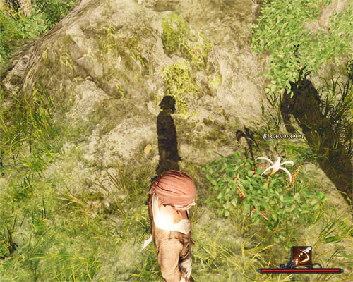 This is a Bloodroot. - 10 Bloody Roots - Tacarigua - Quests - Risen 2: Dark Waters - Game Guide and Walkthrough