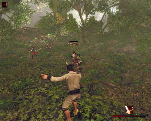 The slaves are hiding in the jungle. Don't venture there without Patty. - Bounty - Tacarigua - Quests - Risen 2: Dark Waters - Game Guide and Walkthrough