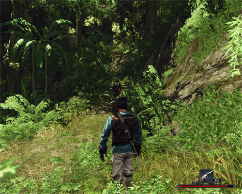 The captain doesn't feel like visiting the valley, so he'll lead you over a pass. - Over the Pass - The Sword Coast - Quests - Risen 2: Dark Waters - Game Guide and Walkthrough