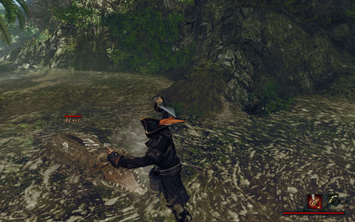 Lizards are definitely a NO! - The Beast in the Lake - Maracai Bay - Quests - Risen 2: Dark Waters - Game Guide and Walkthrough