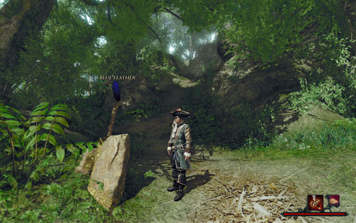 It's really hard to miss. - The Blue Feather - Maracai Bay - Quests - Risen 2: Dark Waters - Game Guide and Walkthrough